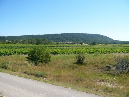 on retrouve le plateau et les vignes